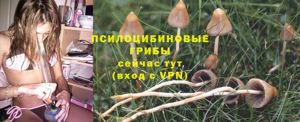 прущая мука Семилуки