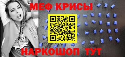 гашик Кингисепп