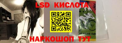 гашик Кингисепп