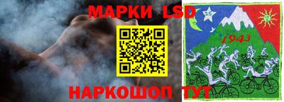 гашик Кингисепп