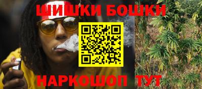 гашик Кингисепп