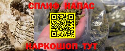 spice Кимры