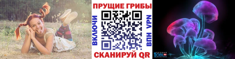 shop какой сайт  Нововоронеж  Галлюциногенные грибы прущие грибы 